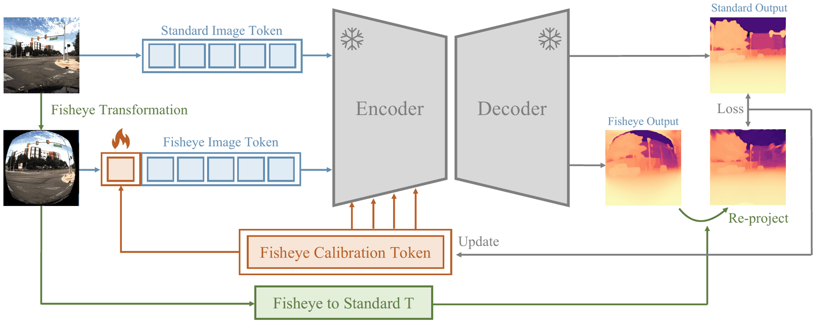 Calibration Tokens method diagram: a perspective image and its fisheye transformation both enter a frozen encoder-decoder; only a small fisheye calibration token is trainable, supervised by re-projecting the fisheye output back to the standard view