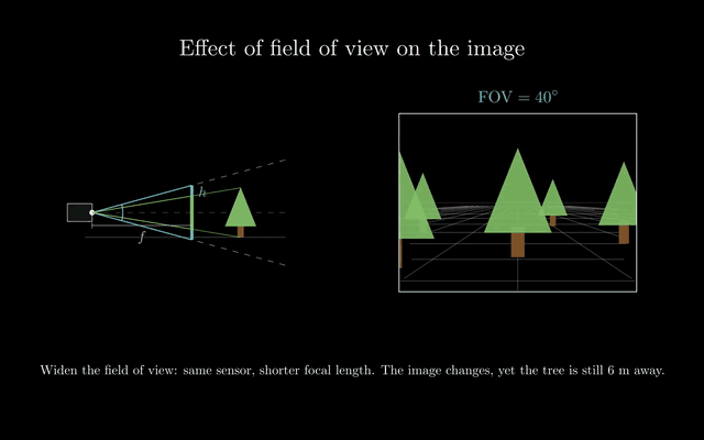 Paper Review: Handling High FOV Cameras in Vision Networks